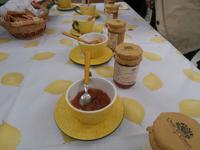 im Zitronengarten bei Oskar Tintori Sede, Verkostung Marmelade