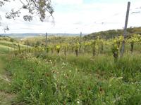 Agriturismo Vecchio Maneggio 