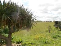 Agriturismo Vecchio Maneggio 