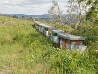 Agriturismo Vecchio Maneggio 