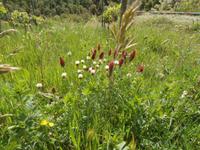 Agriturismo Vecchio Maneggio 