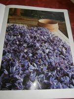 Agriturismo Vecchio Maneggio Safran