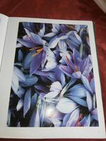 Agriturismo Vecchio Maneggio Safran