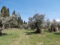unterwegs auf der Etruskischen Weinstraße 
