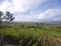 Bauernhof in Montaioncino