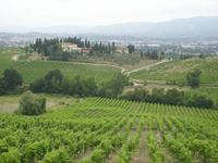 Toskanische Landschaft