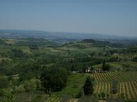 Toskanische Landschaft bei Empoli