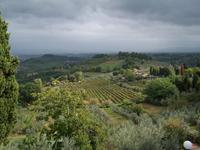 die Gegend um San Gimignano