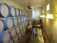 Weinverkostung in Ulignano- Tenuta Torciano 