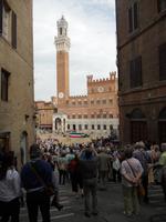 Blick zum Campanile des Rathauses von Siena