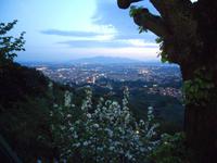 mit der Standseilbahn zum Monte Alto