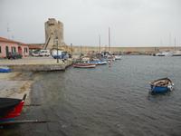 im Hafen von Marciana Marina