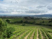 sanfte Hügel der Toscana