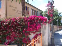 südliche Blütenpracht