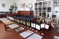 Weinverkostung bei Weinbauer Montaioncino 