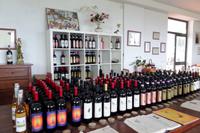 Weinverkostung bei Weinbauer Montaioncino 