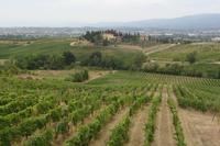 Weinverkostung bei Weinbauer Montaioncino 