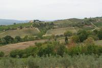 Weinverkostung bei Weinbauer Montaioncino 