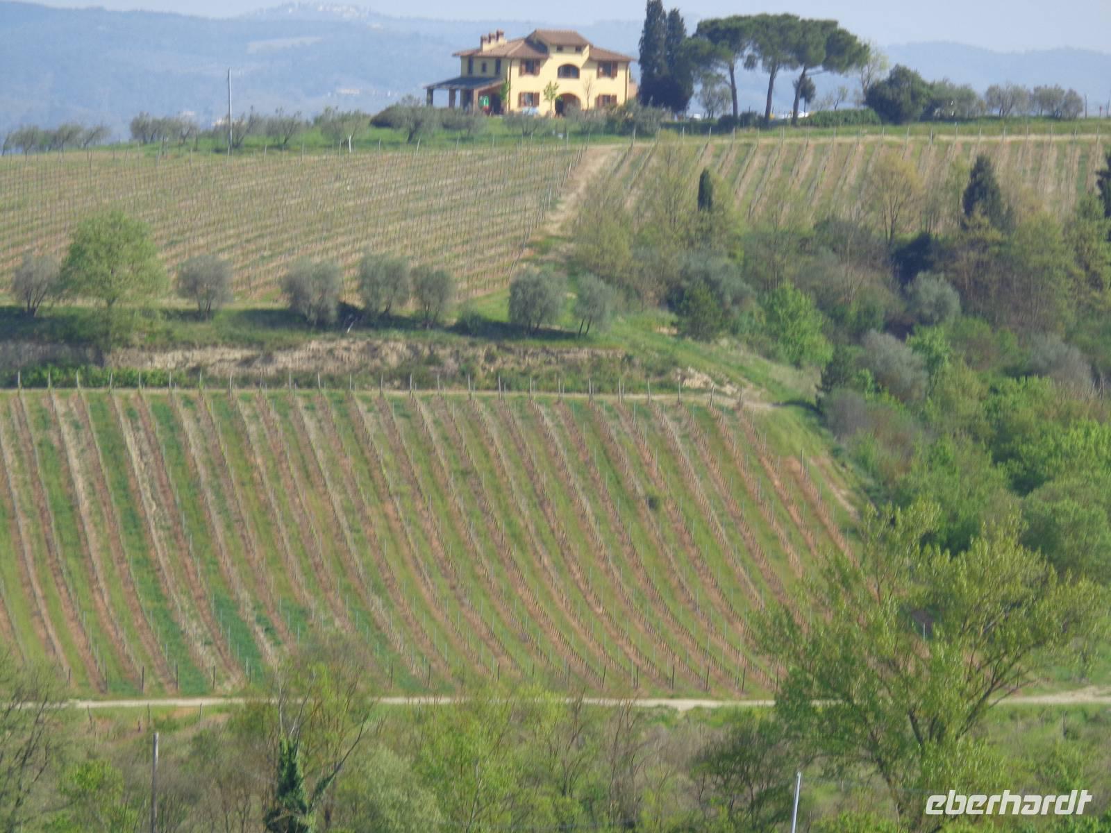  typisch toscanisches Anwesen im Chiantigebiet