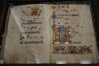 Edle Bücher in der Libreria Piccolomini