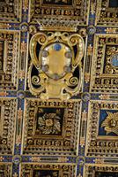 Kasettendecke im Dom von Pisa - hier das Wappen der Medici