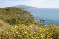 Küstenlandschaft Elba kurz vor Porto Azzurro