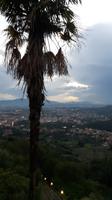 Abendstimmung in Montecatini Alto