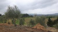 Agriturismo 