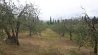 Agriturismo 