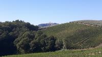 Blick auf San Gimignano