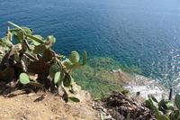 Elba Porto Azzurro