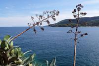 Elba Porto Azzurro