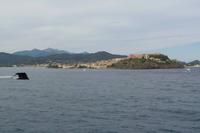 Elba