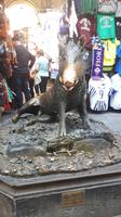 Florenz (Mercato Nuovo - Wildschwein-Brunnen)
