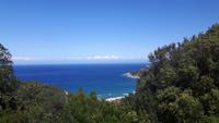 Insel Elba (Bucht von Procchio)