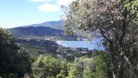 Insel Elba (Bucht von Procchio)