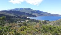 Insel Elba (Bucht von Procchio)