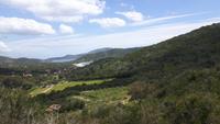 Insel Elba (Lacona)