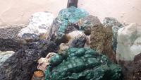 Insel Elba (Marina di Campo - Mineralien-Museum)