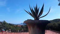 Insel Elba