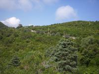 Landschaft auf Elba