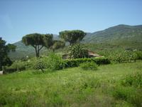 Landschaft auf Elba