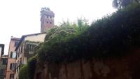 Lucca