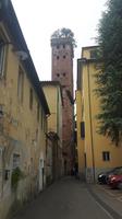 Lucca
