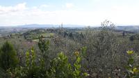 San Gimignano (Blick ins Umland)