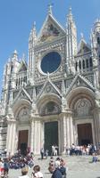 Siena (Dom)