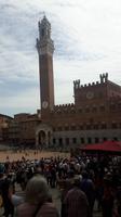 Siena (Piazza del Campo - Rathaus)