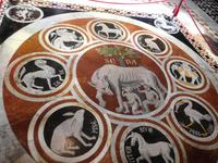 Siena Dom (10)