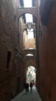 Siena