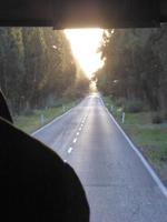 Strada dei Cipresi